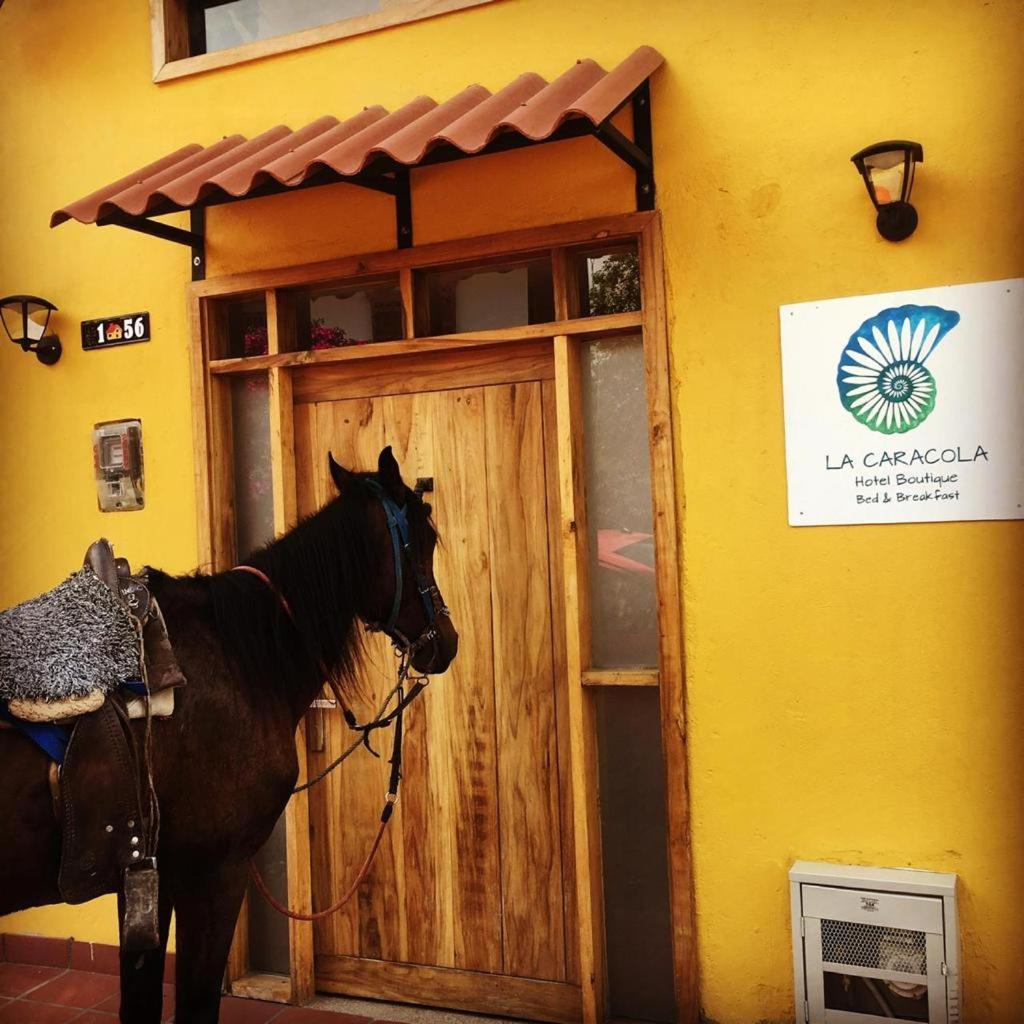 Hotel La Caracola Salento Eksteriør billede